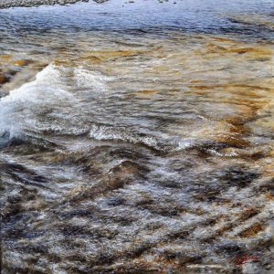 Acqua - olio su tela - cm 70 x 70