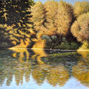 Aironi sulla riva - olio su tela - cm 90 x 90