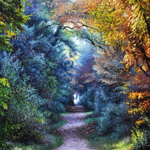 Bosco azzurro - olio su tela - cm 50 x 80