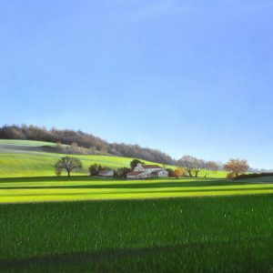 Campi a Urbisaglia olio su tela  cm 75 x 30