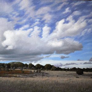 Radura a Canfaito II
olio su tela
cm 35 x 50