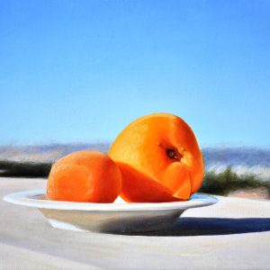 Albicocche
olio su tela
cm 20 x 30