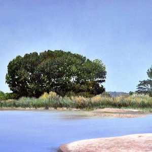 Alla Foce del Chienti
olio su tela
cm 85 x 25