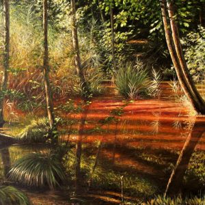 La palude di Camaldoli - olio su tela - cm 100 x 80