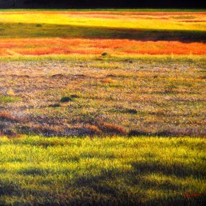La Terra di Guido - olio su tela - cm 85 x 90
