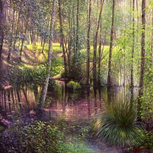 La palude di Camaldoli-mattino - olio su tela - cm 100 x 100