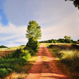 La strada rossa - olio su tela - cm 60 x 40