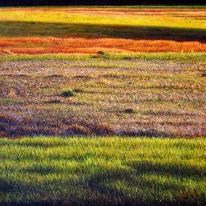 La terra di Guido II - olio su tela - cm 75 x 70