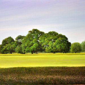 Le quercie di Fiastra