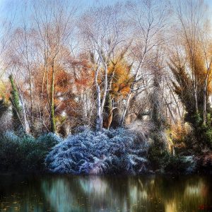 L'estate d'inverno - olio su tela - cm 90 x 90