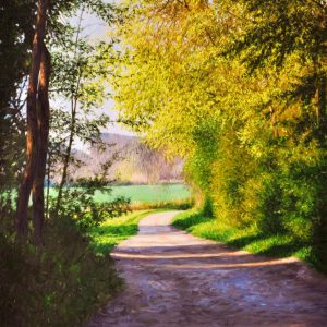   Passeggiata a Fiastra - olio su tela - cm 55 x 90
