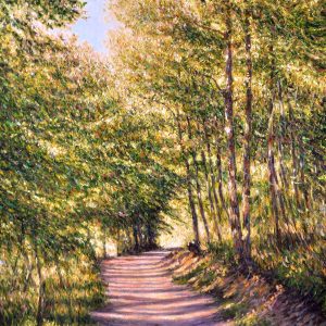Piccolo sentiero - olio su tela - cm 40 x 70