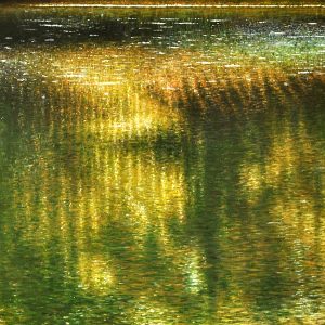Riflessi - olio su tela - cm 125x52