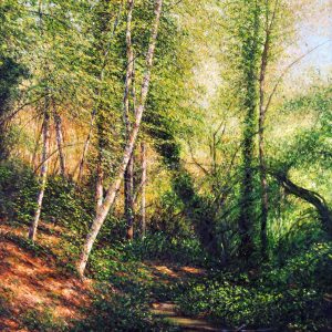   Rio nel bosco - olio su tela - cm 70 x 120