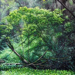 Sottobosco - olio su tela - cm 70 x 80